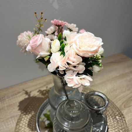 Apartman Nino 노비그래드달마샤 외부 사진